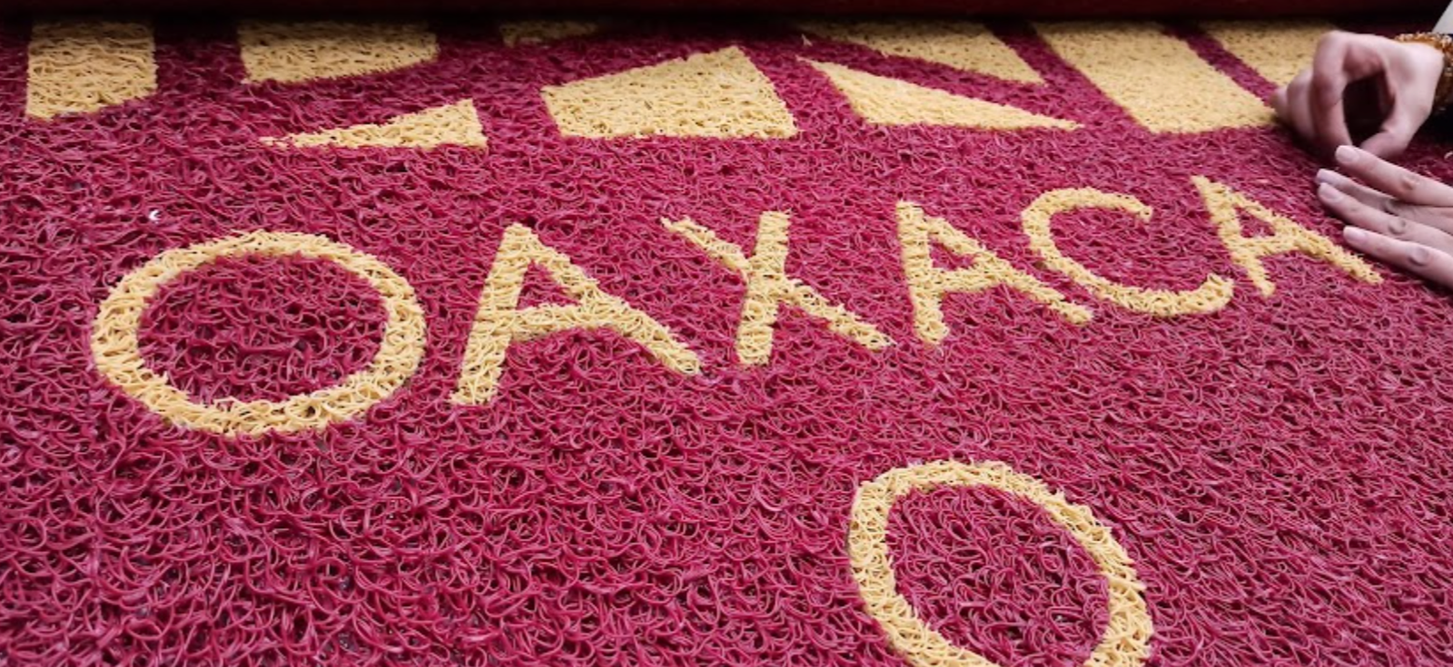 Captura de pantalla 2025-05-03 a las 3.36.12 p. m.